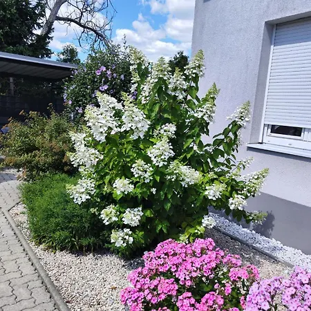 アパート Eichbachgasse 38