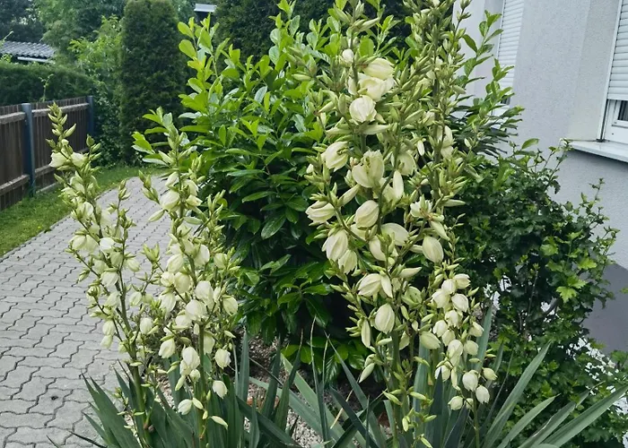 Eichbachgasse 38 غراتس